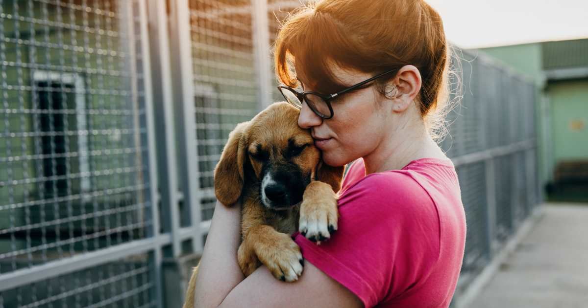 Representative image of a woman holding a puppy she adopted from shelter (Cover Image Source: Getty Images | Group4 Studio)