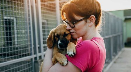 Pet owner urges people to follow ‘3-3-3 rule’ when adopting new pup – so they aren’t abandoned later