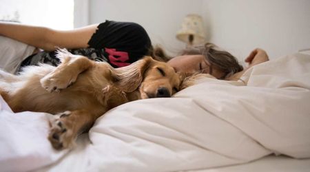 Sharing bed with your pet might seem good for your sleep – but this study says otherwise