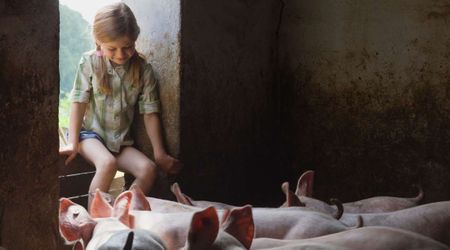 9-year-old girl auctions her pet pig for $27,000 – what she did next made her a ‘local hero’