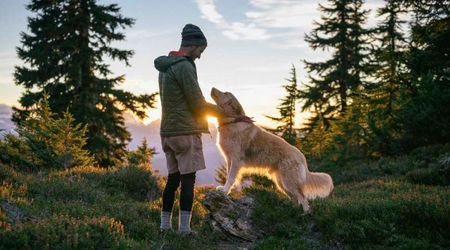 This man makes $200K a year by taking dogs on daily excursions – and the money isn’t even the best part about his job