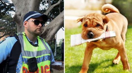 Police arrive home to serve papers – end up chasing the dog after he pulled an unexpected stunt