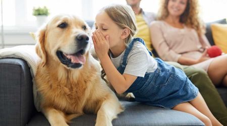 7 remarkable traits of people who talk to pets like they are humans – including better stress management