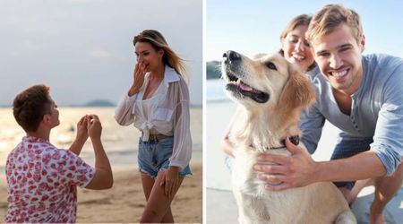 A couple tasks their pup to record their beachside proposal – what he captured will be ‘treasured forever’
