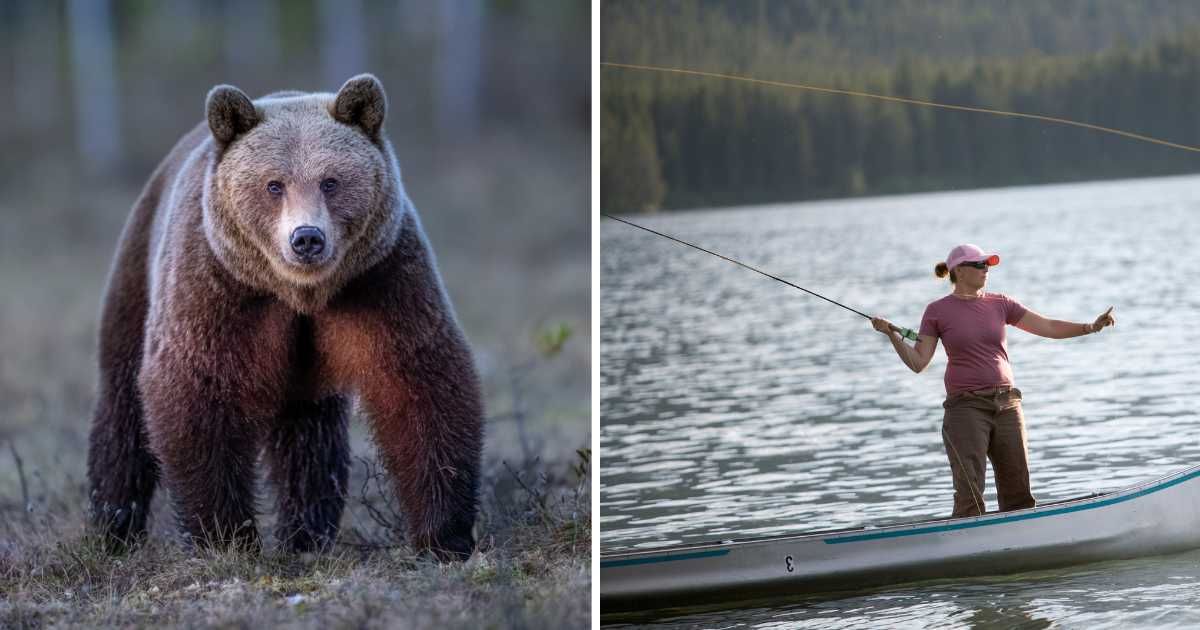 (L) A big brown bear, (R) A woman fishing. (Representative Image Source: Getty Images | (L) Krzysztof Baranowski, (R) Chriss Ross)