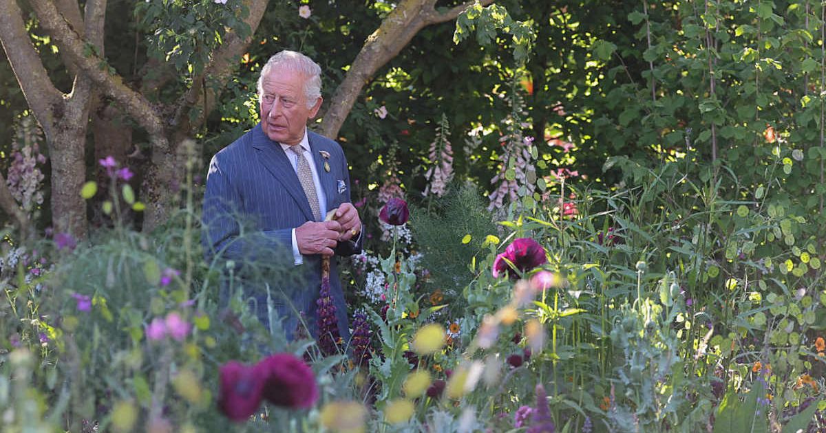 King Charles walks through the RHS and BBC Radio 2 Dog Garden. (Cover Image Source: Getty Images| Toby Melville - WPA Pool)