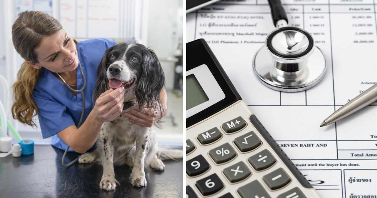 (L) A vet checking on a pet dog.; (R) Stethoscope, calculator, and pen on medical billing statement on table. (Representative Cover Image Source: Getty Images | (L) Monty Rakusen; (R) Prapass Pulsub)