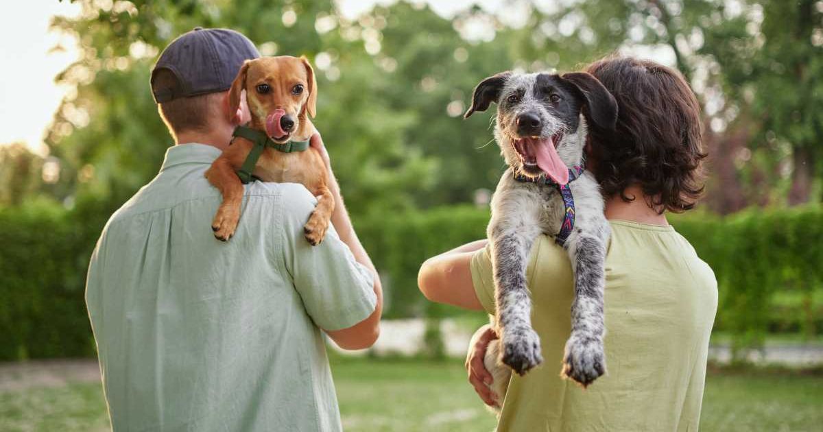 Men and kids bonding with foster puppy. (Representative Image Source: Getty Images | 	boytsov)
