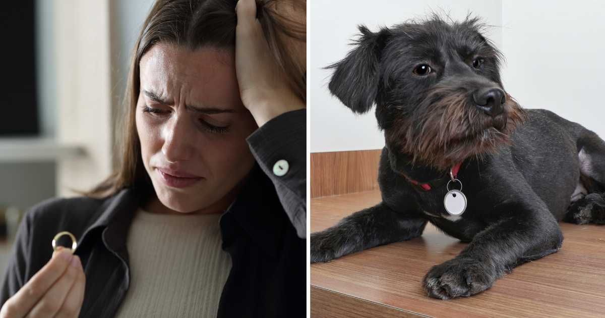(L) A woman crying and looking at her wedding ring, (R) A black terrier dog at an animal shelter. (Representative Cover Image Source: Getty Images | (L) Antonio Guillem, (R) George Peters)