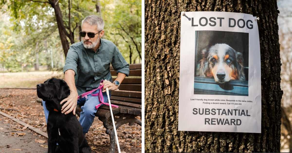 (L) A blind man sitting in the park with his dog; (R) A flyer of a missing dog. (Representative Cover Image Source: Getty Images | (L) RgStudio; (R) StockSeller_ukr)