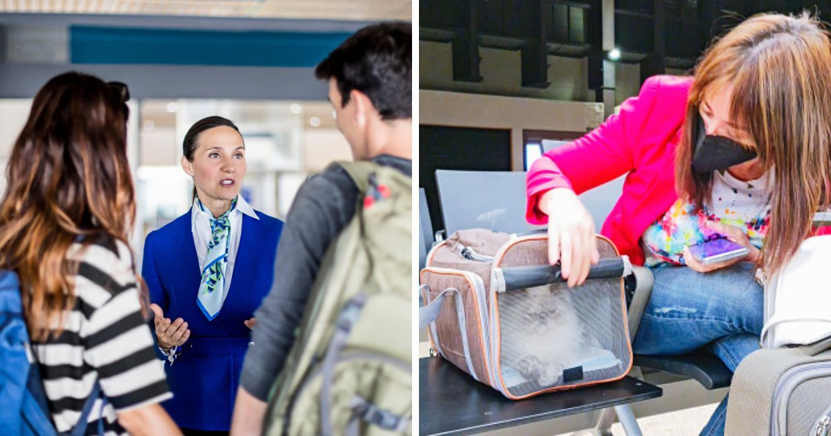 (L) Air hostess helping young couple at airport, (R) Woman Traveling With Her Pet Waits. (Representative Cover Image Source: Getty Images | (L)Kryssia Campos, (R) Xavier Arnau)