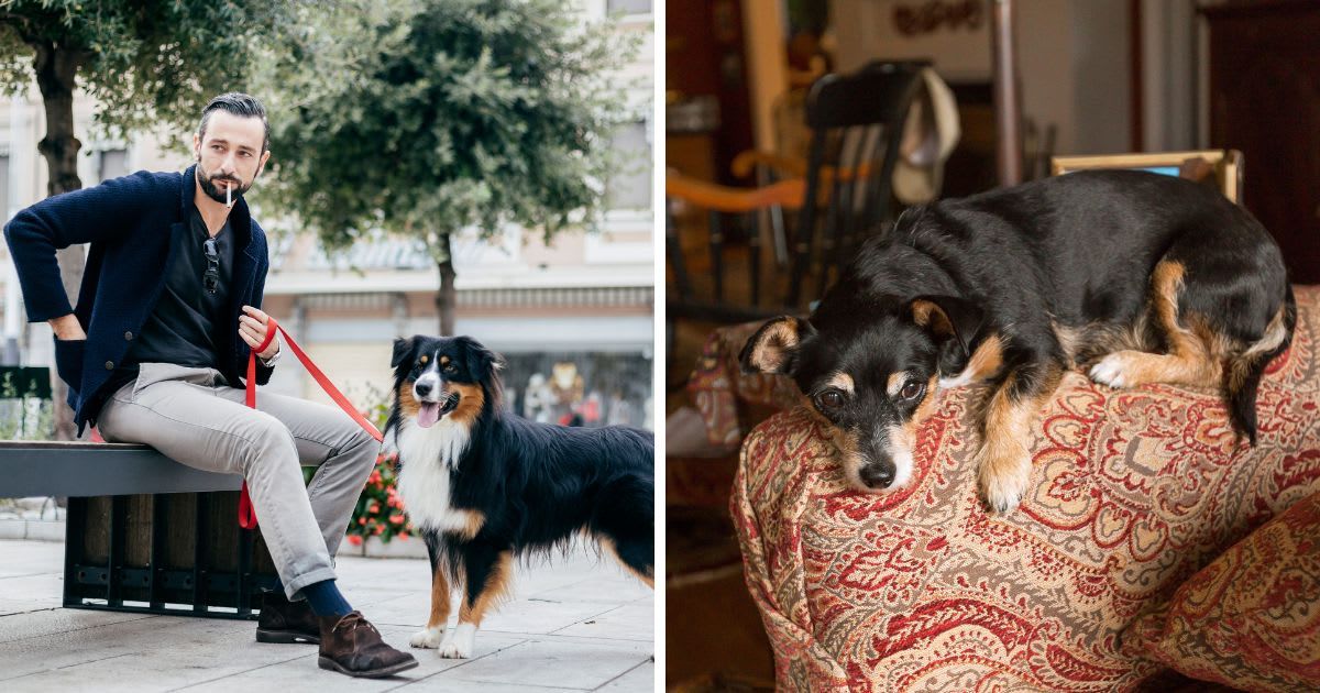 L: Man with a dog smoking a cigarette; R: Bored dog lying on sofa. (Representative Cover Image Source: Getty Images | L: Mauro Grigollo; R: Jena Ardell)