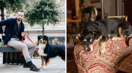 5 daily habits that can drastically reduce your dog’s lifespan – including smoking around them