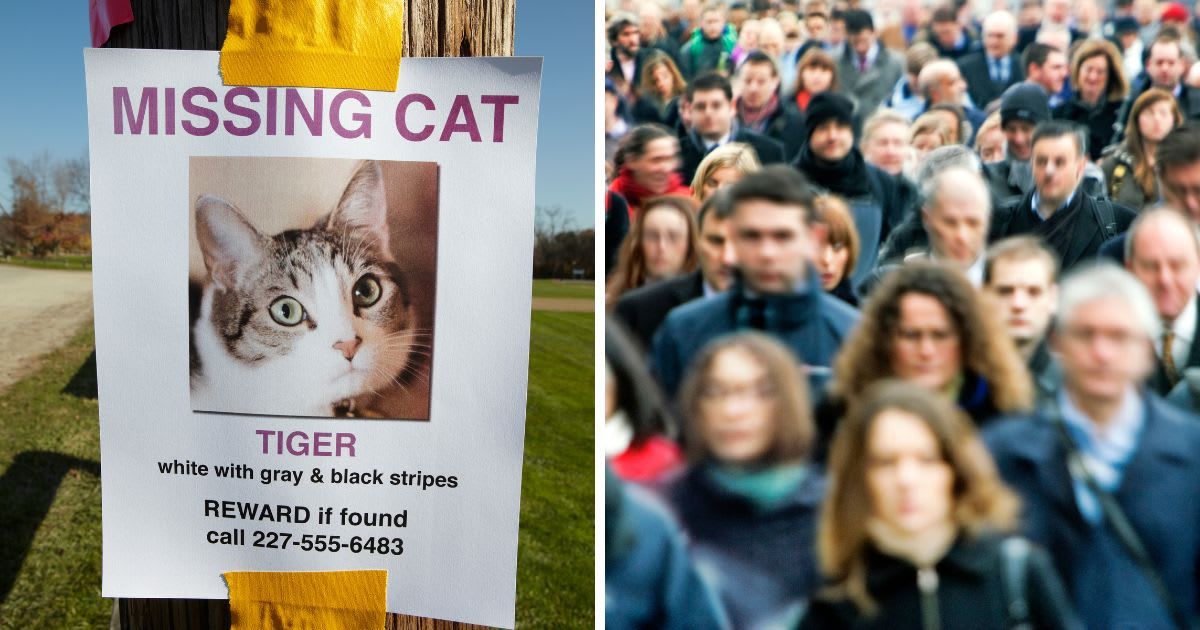 (L) A missing cat poster, (R) Crowd of people commuting to work. (Representative Image Source: Getty Images | (L)Jeffrey Coolidge, (R) 	Caroline Purser)