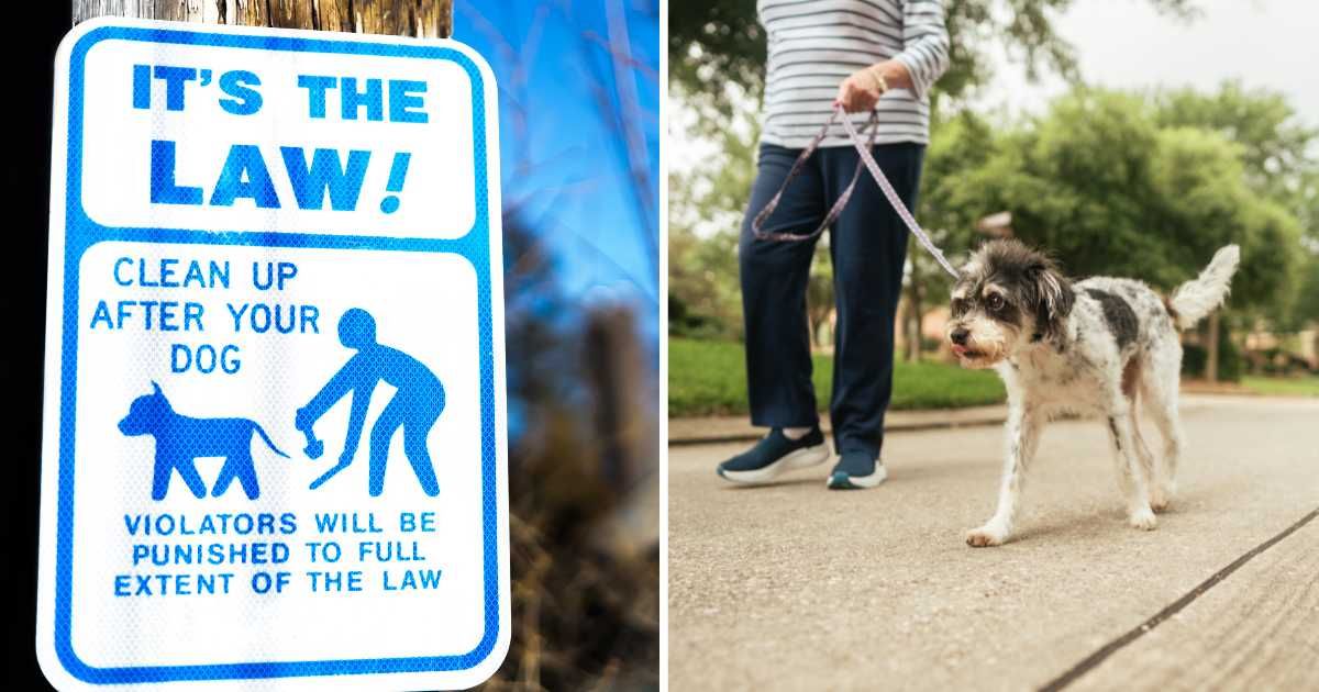 (L) A dog fine notice board. (R) An owner walking her dog. (Representative Cover Image Source: Getty Images | (L) Catherine McQueen, (R) Luza studios)