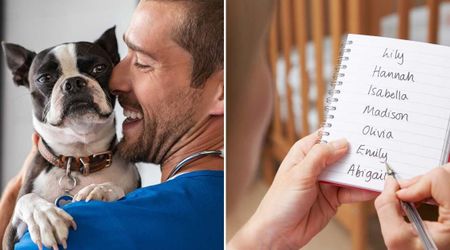 Vet reveals weirdest pet names he’s had to awkwardly announce during his practice – including 'Sergeant Sniffers'
