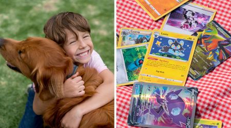 8-year-old boy tries to sell Pokémon cards to help his sick dog — his kindness sparks donations 30 times the cost of treatment