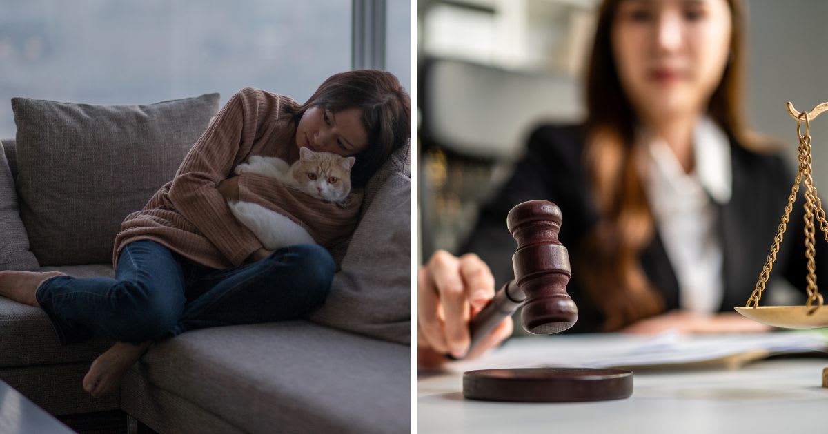 (L) Japanese woman hugging cat on sofa in high-rise apartment, (R) Close up of lawyer woman's hand knocking hammer justice in courtroom. (Representative Cover Image Source: Getty Images | (L)Benjamin Torode, (R) Kawee Srital-on)