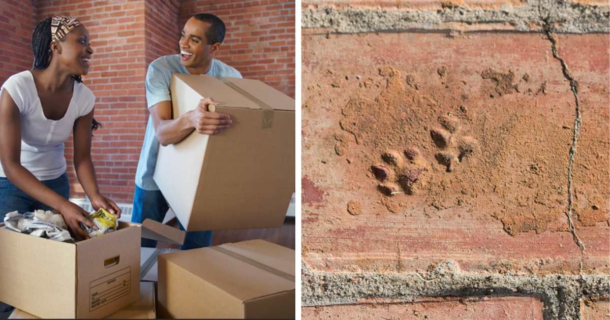 (L) Couple in their new apartment; (R) A Pawprints in the brick. (Representative Cover Image Source: Getty Images | (L) Fancy/Veer/Corbis; (R) Pollyana Ventura)