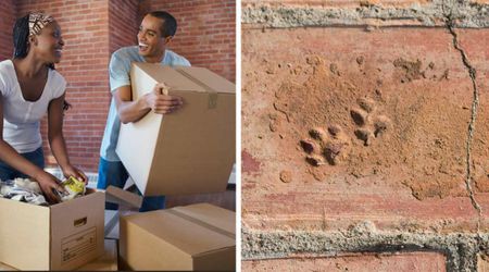 Couple discovers tiny kitten paw prints in their home’s stonework —uncovering a 19th-century mystery