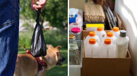 8-year-old girl stuns her community with brilliant innovation to deal with dog waste using milk bottles