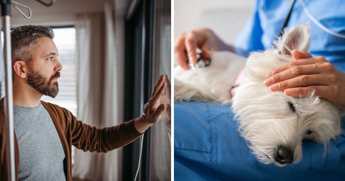 (L) Man waiting outside of a hospital room, (R) A vet injecting a pet dog. (Representative Cover Image Source: Getty Images | (L) Halfpoint Images, (R)	Hispanolistic) 