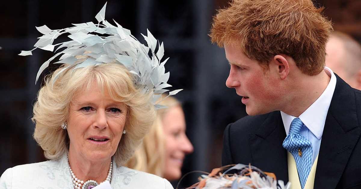 Prince Harry and Queen Camilla attend the wedding of Peter Phillips and Autumn Kelly at St. George's Chapel. (Cover Image Source: Getty Images| Anwar Hussein/WireImage)