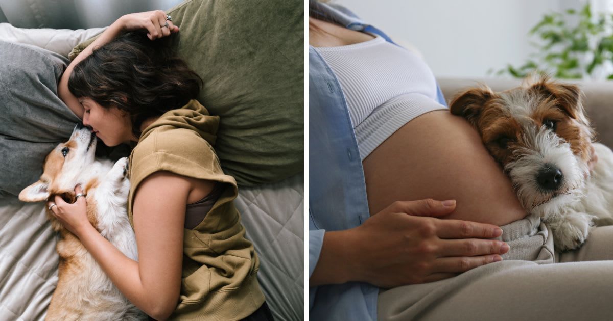 (L) A Young woman comfortable with a cute dog in bed, (R) A pregnant woman with her pet dog. (Representative Image Source: Getty Images | (L) fotografixx, (R)	Evrymmnt)