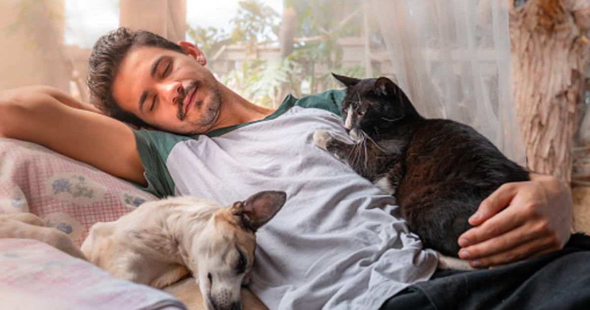 Young man interacts with his pets in the garden. (Representative Cover Image Source: Getty Images | Magui-rfajardo)