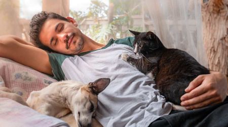 Millennials own more pets than any other generation today - Gen Z didn’t even make the top three