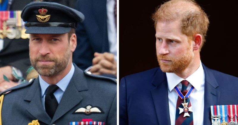 Royal Historian Explains Why William’s Army Air Corps Title Is a ‘Gut Punch’ to Harry: ‘He Had Left...'