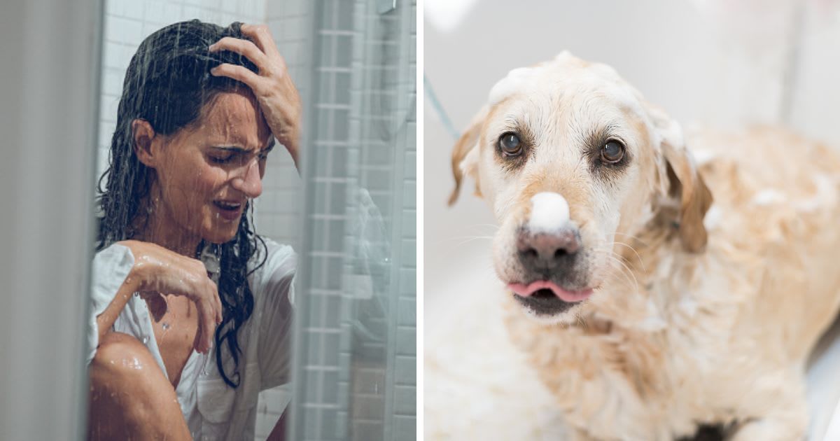 (L) Frustrated female in shirt in shower, (R) A sad dog in shower. (Representative Image Source: Getty Images | (L) Addictive Stock, (R)	KALA STUDIO)