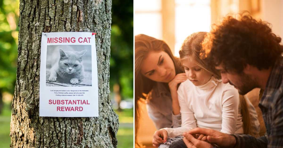 (L) A missing cat flyer. (R) A worried-looking family. (Representative Cover Image Source: Getty Images | (L) StockSeller_ukr, (R) skynesher)