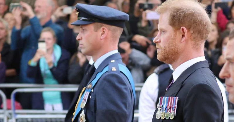 Expert Says Harry and William’s Feud Gets ‘Worse Than Ever’: 'Apologies Need To Come From...'