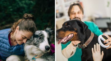 Woman was overjoyed to finally find her missing senior dog — until a microchip scan shattered her dreams of reunion