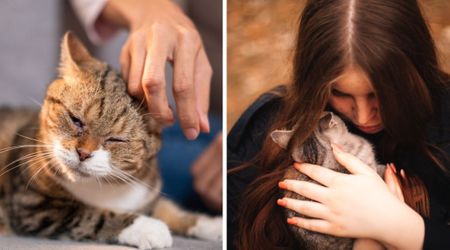 She always wakes her 14-year-old cat up when it’s fast asleep — and anybody with a senior pet understands why