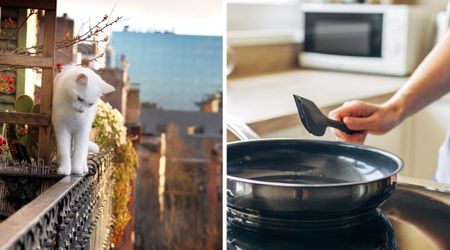 Cat mom’s quirky spatula hack might just stop your pet from disappearing for good 