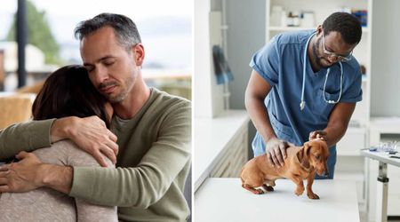 Couple spent $7000 on their 9-week-old dream puppy — only to be told the next day he should be put down