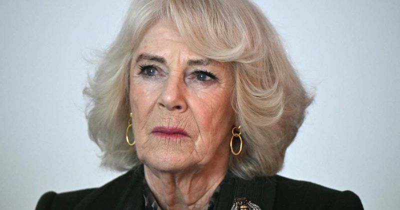 Queen Camilla Once Used Her Shoe to Fight Off Attacker on a Train as a Teen: New Book