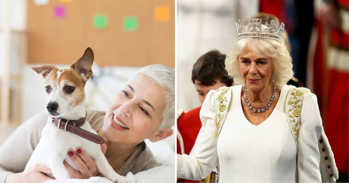 (L) A woman with her dog Jack Russel terrier. (R) Queen Camilla. (Representative Cover Image Source: Getty Images | (L) Vesnaandjic, (R) WPA Pool)