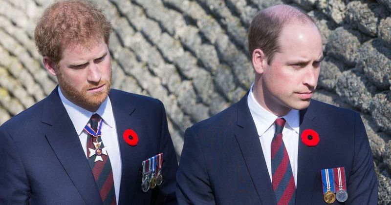 Prince William Laid Out His Plans for the Monarchy — and It's Exactly What Prince Harry Hopes For