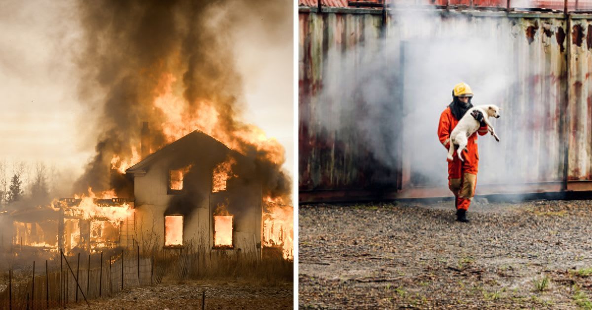 (L) Burning house in a neighborhood, (R)Man saves dog in fire and smoke. (Representative Cover Image Source: Getty Images | (L) Insight Imaging, (R) kckate16)