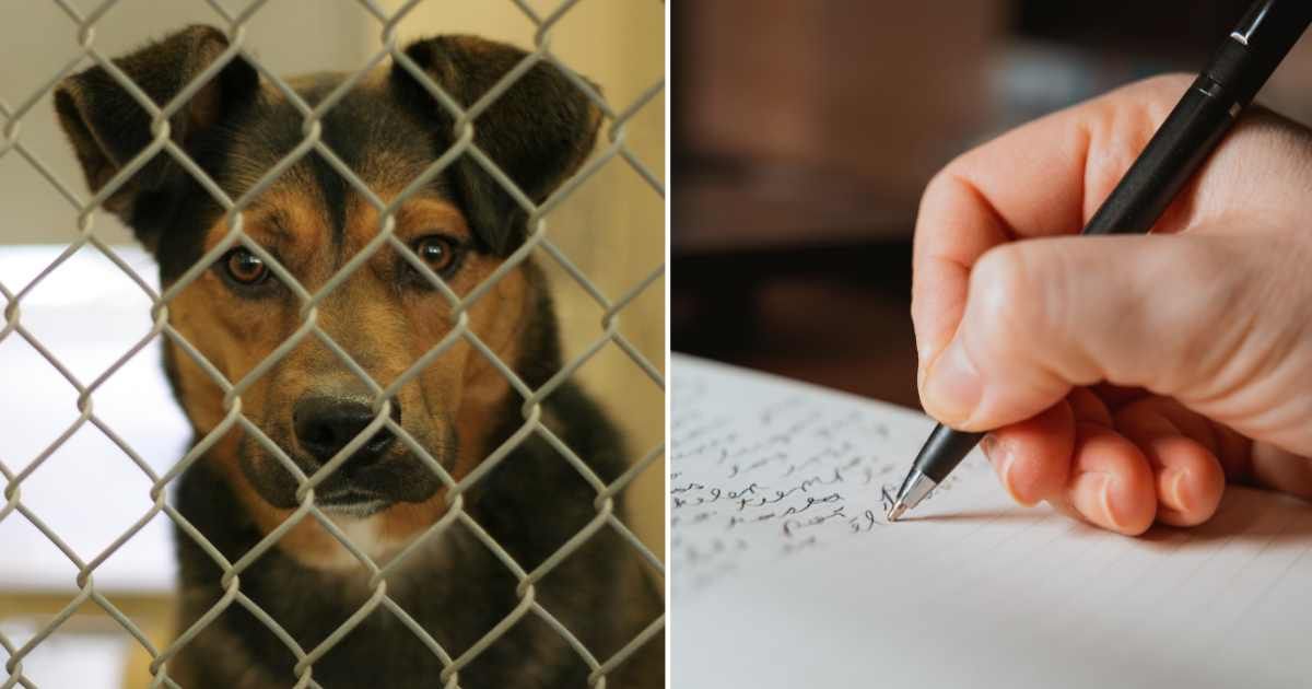 (L) A sad dog at an animal shelter in a cage. (R) A woman writing a letter. (Representative Cover Image Source: Getty Images | (L) Dan Brandenburg, (R) Jacques Julien)