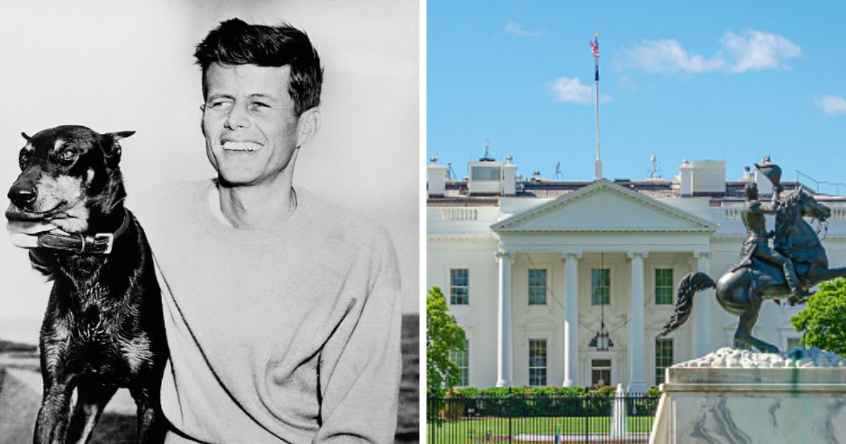 (L) Former President John F. Kennedy at Hyannis Port With His Dog, (R) White House and Washington Monument in Lafayette Square. (Cover Image Source: Getty Images | (L)Historical, (R) A-Tom)