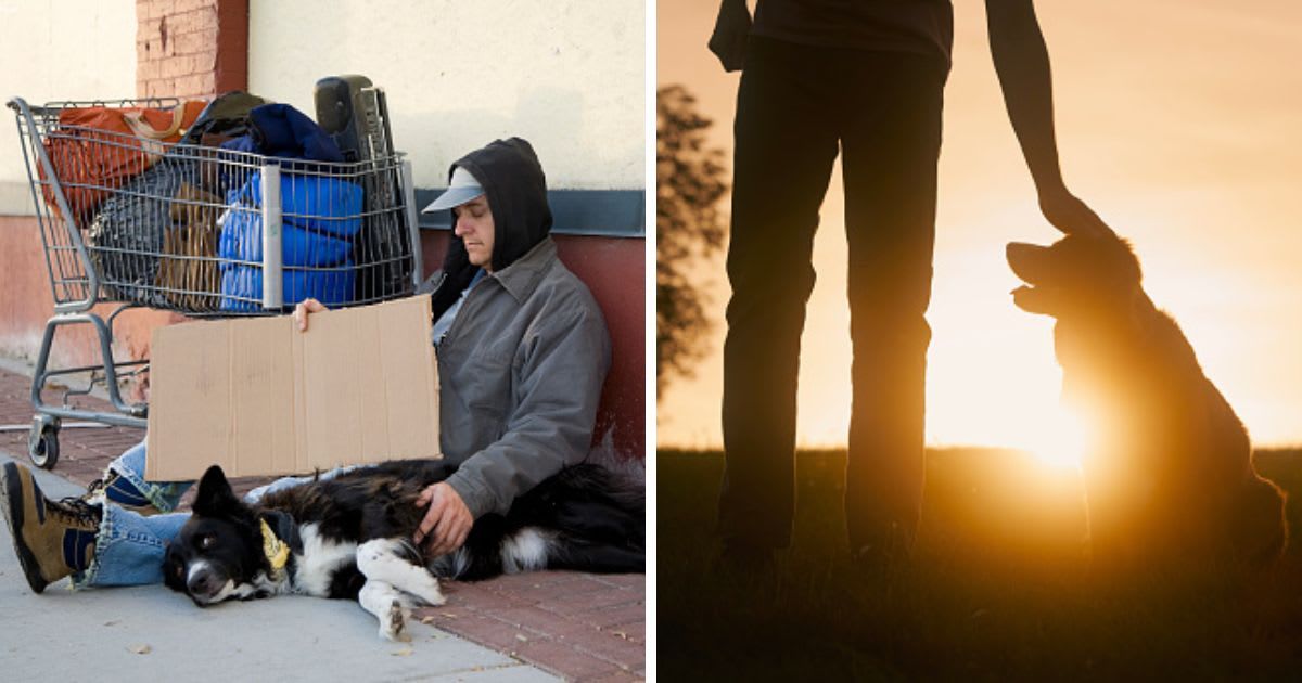 (L) A homeless man sitting on a sidewalk, (R) Silhouette man and dog on meadow at sunset. (Representative Cover Image Source: Getty Images | (L) O2O Creative, (R) Jaromir)