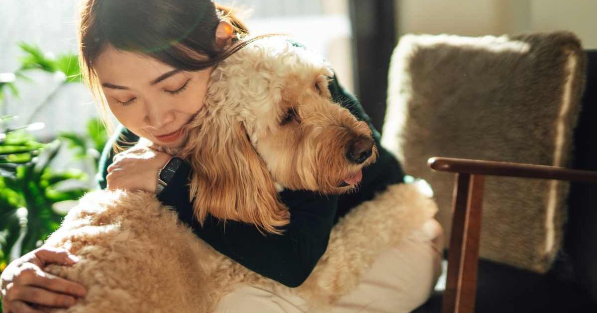 Woman hugging her pet dog. (Representative Cover Image Source: Getty Images | Oscar Wong)