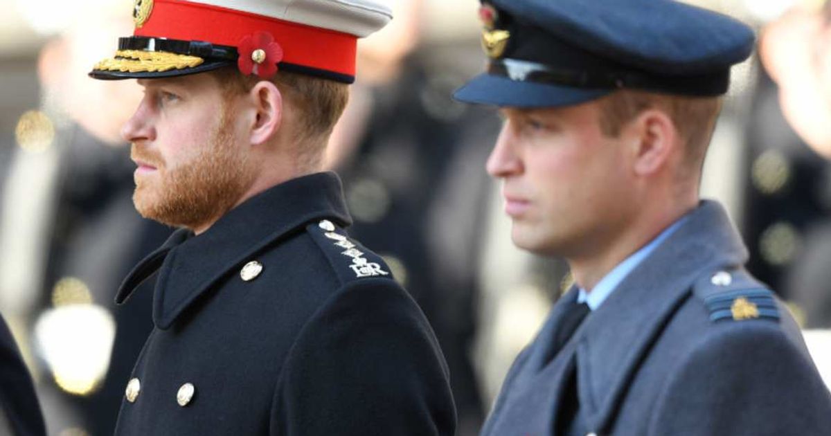 Prince Harry and Prince William attend the annual Remembrance Sunday memorial. (Cover Image Source: Getty Images | Karwai Tang/WireImage)