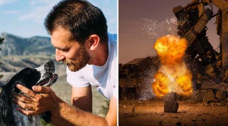 Family dog sniffed out a dynamite in home attack before it went off  — and his quick instincts saved 13 lives