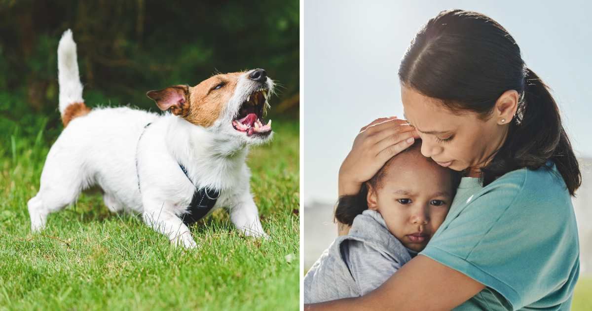 (L) A pet dog aggressively barking (R) A worried mother hugging her child. (Representative Cover Image Source: Getty Images | (L) Alexei_tm, (R) People Images)