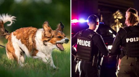 Family dog barked frantically while a toddler played in the backyard — minutes later, a call led to police making a shocking arrest